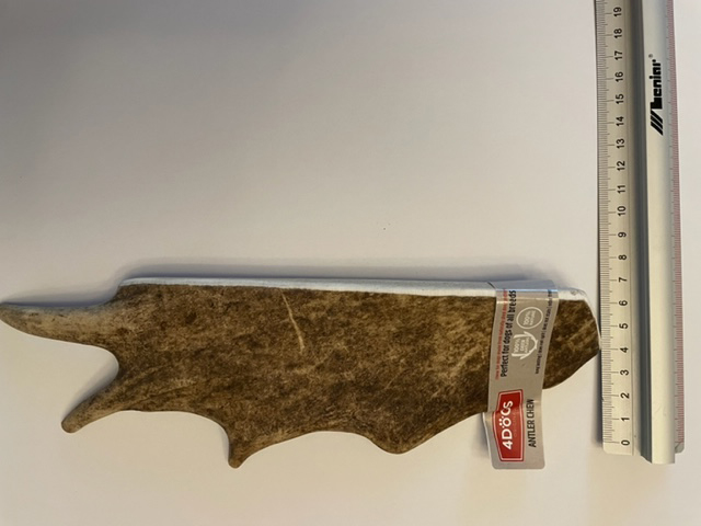 ダマジカ 幅 XXL 4-7cm.jpg